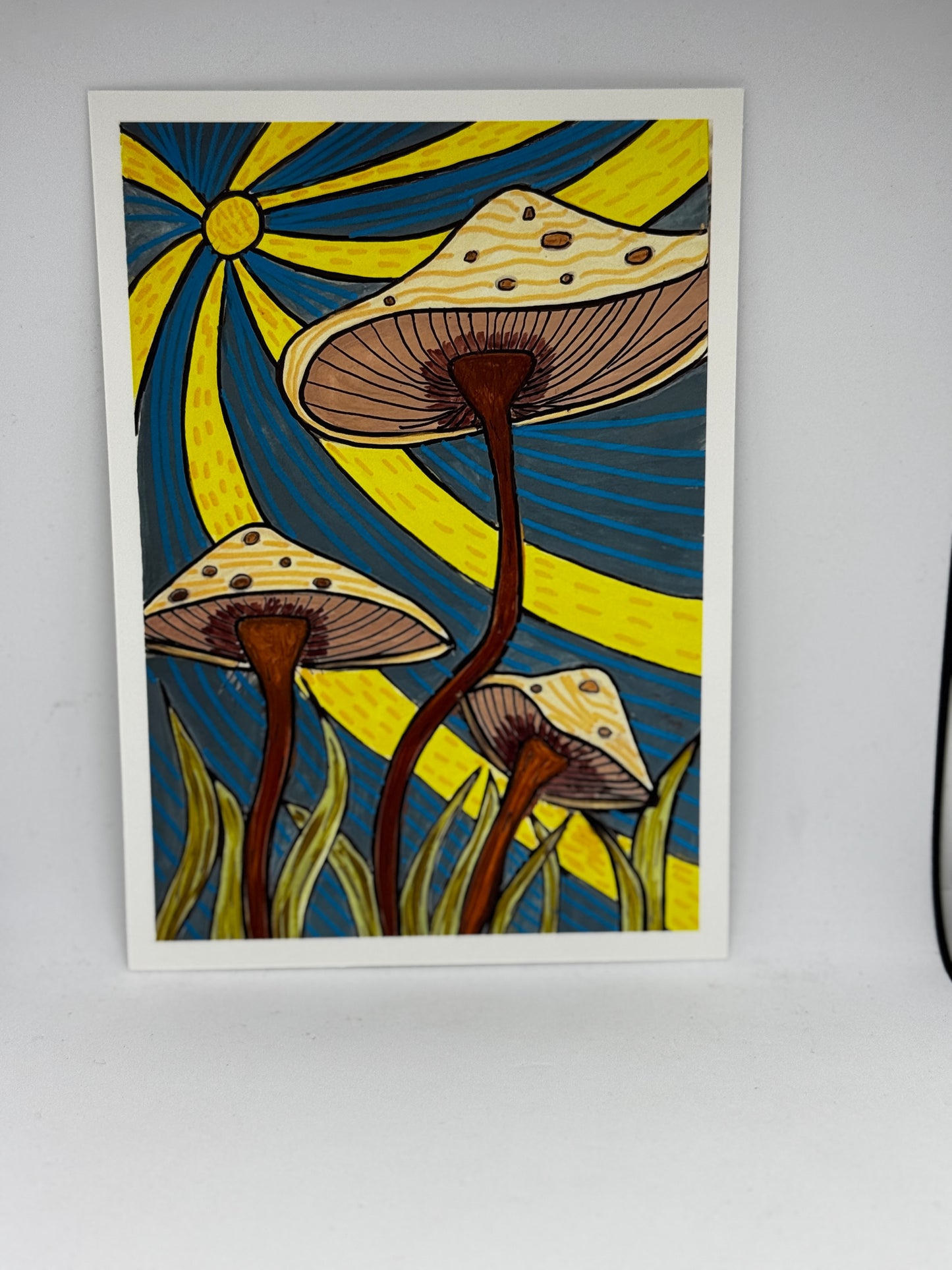 Prints 5 x 7