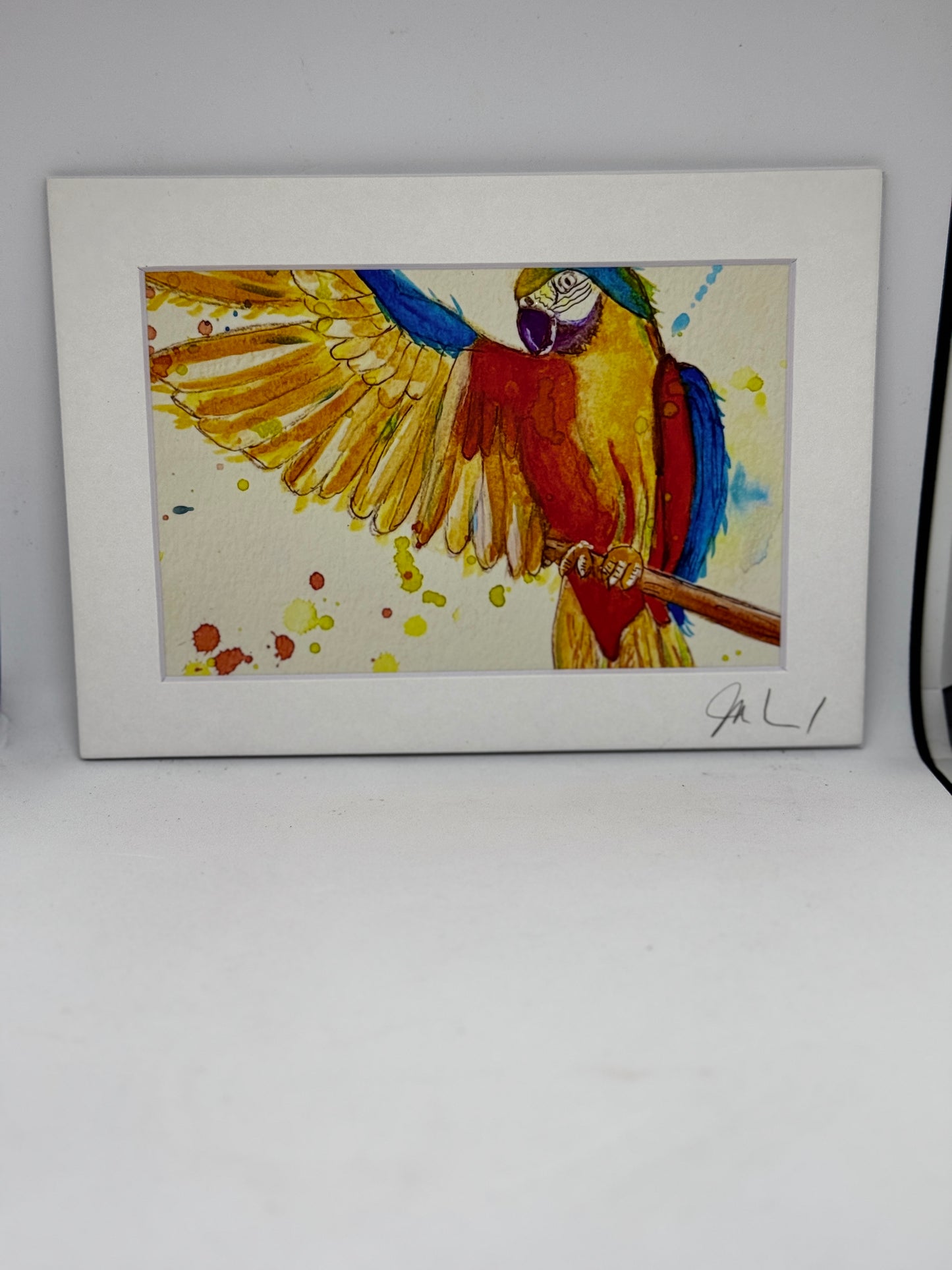 PRINTS 5 X 7
